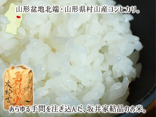 コシヒカリ 5kg 白米 米 お米 有機栽培 天日乾燥 山形県村山産 2020 
