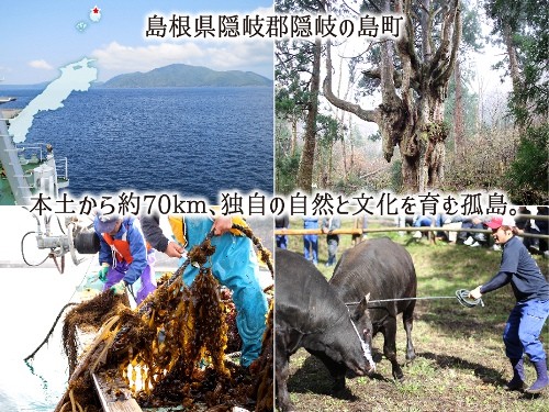 島根県隠岐郡隠岐の島町