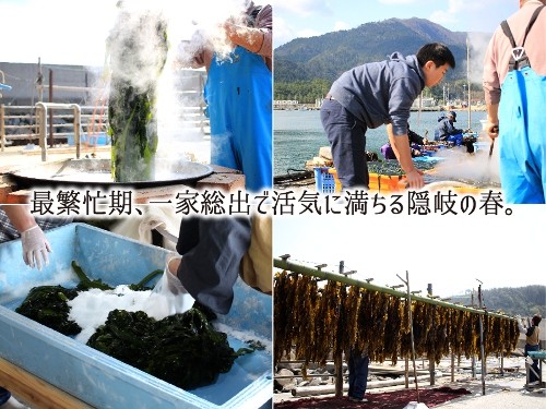 ワカメ
