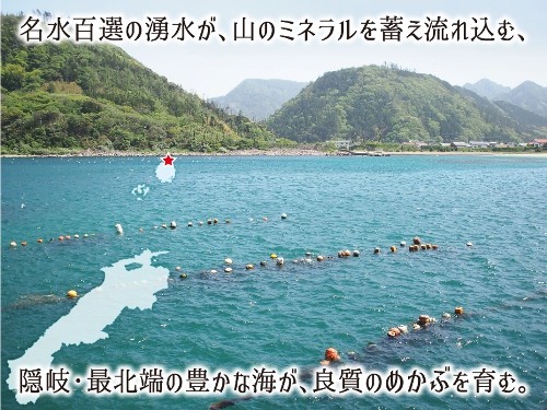 隠岐の島