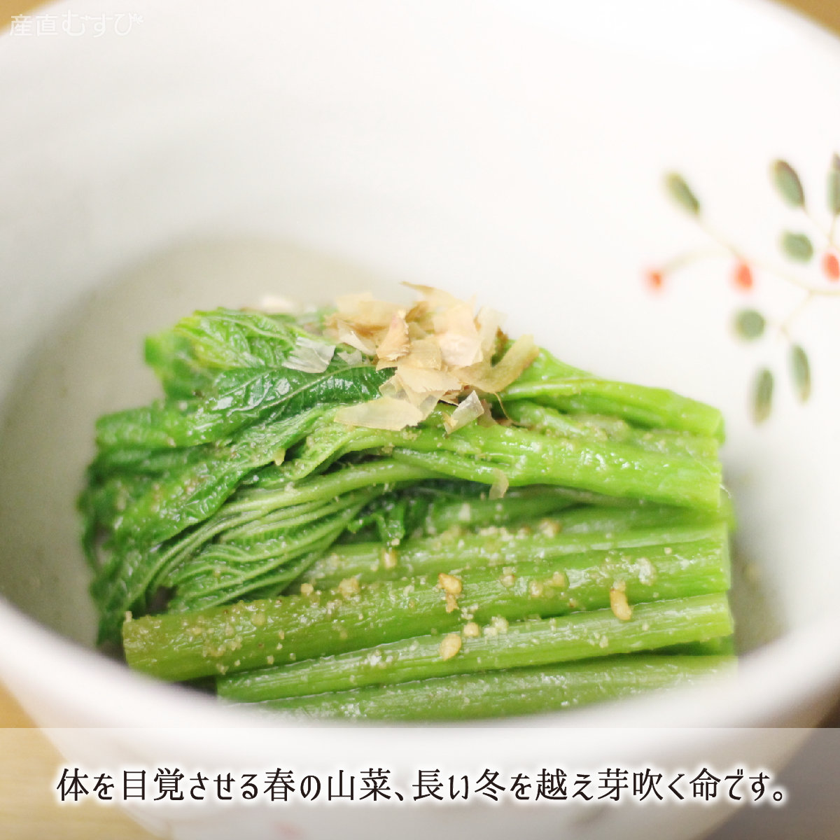 山形県産天然山菜あいこ