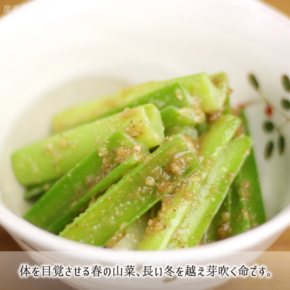 山形県産天然山菜ぎぼうし
