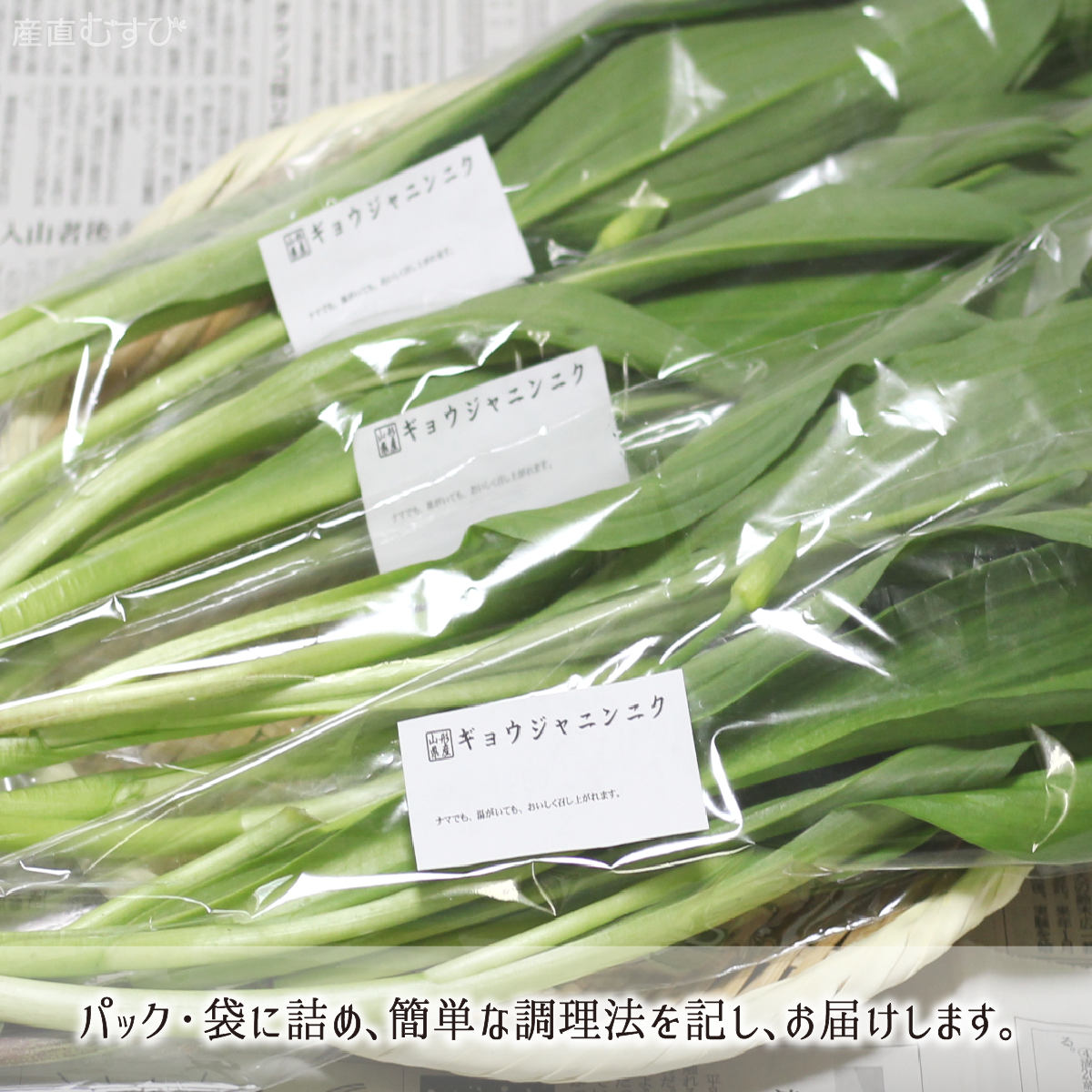 山形県産天然山菜行者にんにく