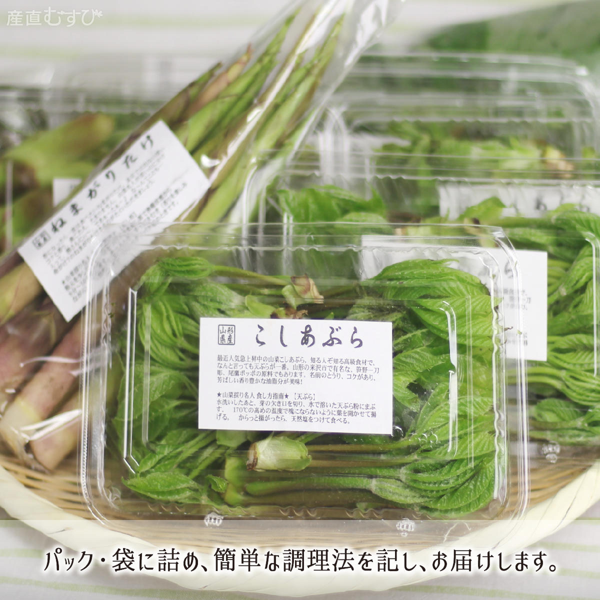 山形県産天然山菜こしあぶら