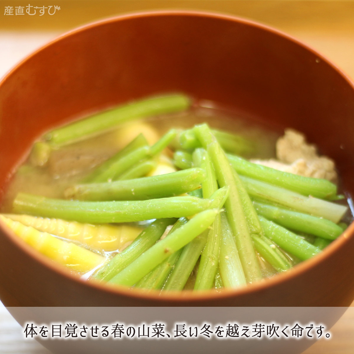 山形県産天然山菜赤みず
