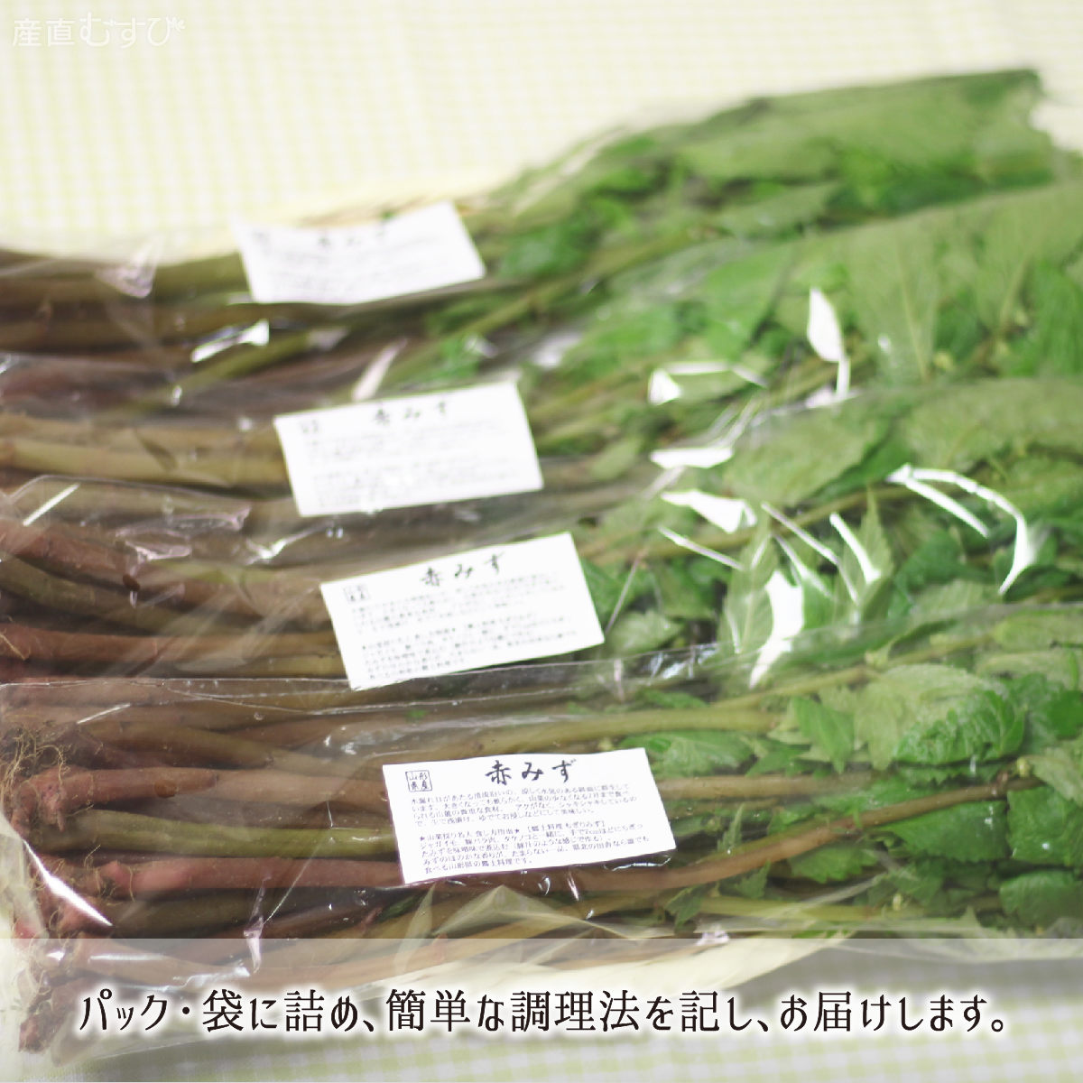 山形県産天然山菜赤みず