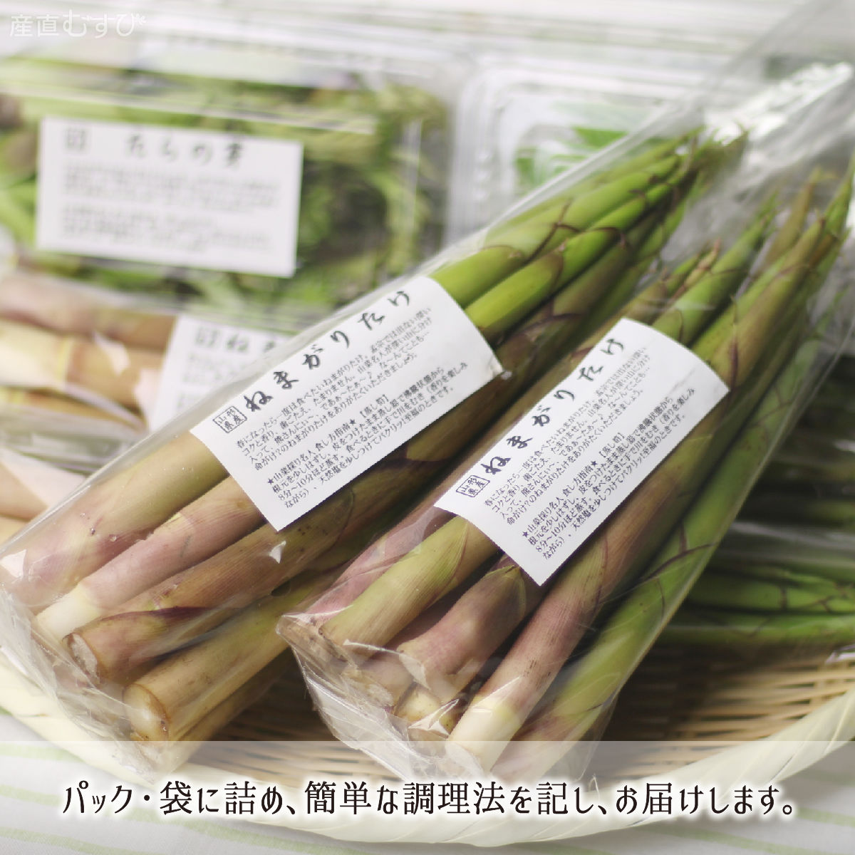 山形県産天然山菜根曲がり竹