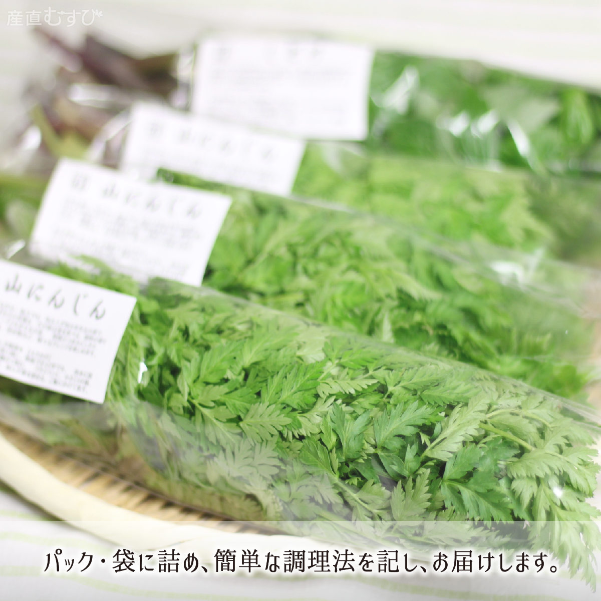 山形県産天然山菜山にんじん
