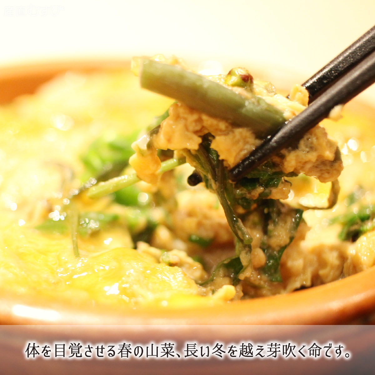 山形県産天然山菜しどけ