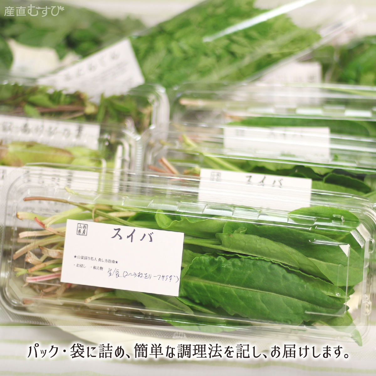 山形県産天然山菜すいば