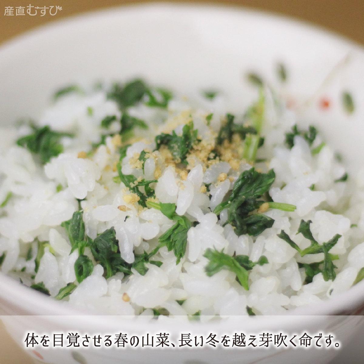 山形県産天然山菜よもぎ