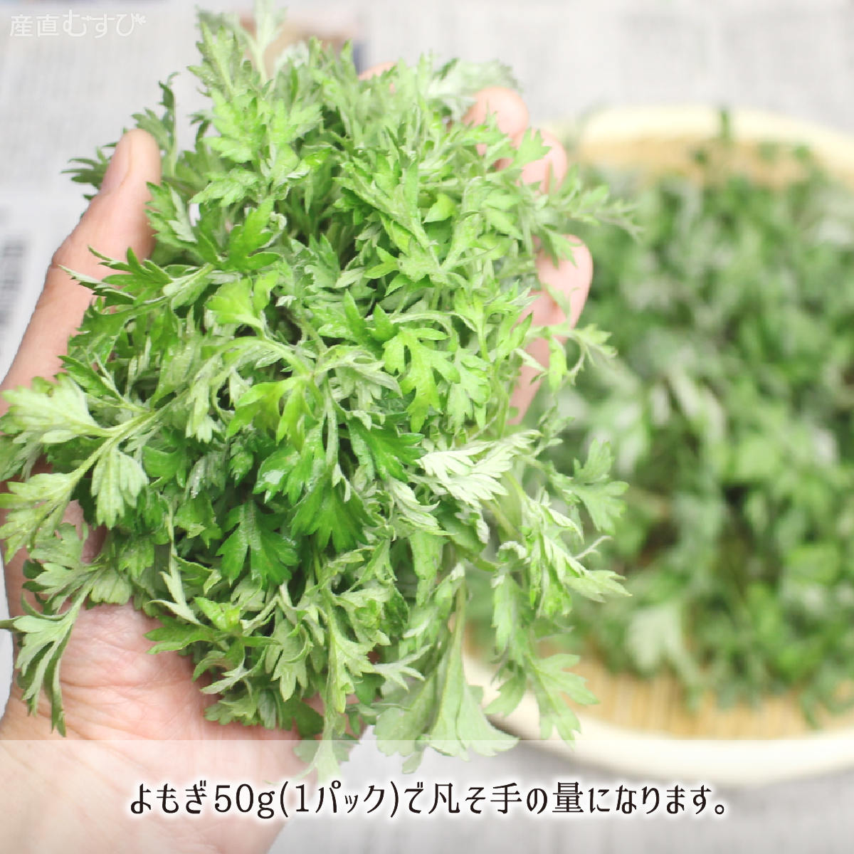 山形県産天然山菜よもぎ