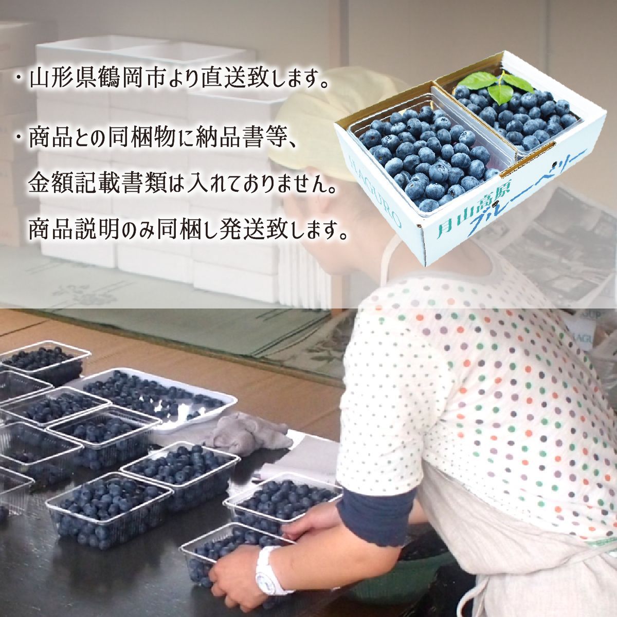 ブルーベリー,送料無料