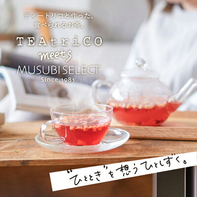 ドライフルーツティー 食べられる ギフト ギフトボックス入 プチギフト プレゼント 誕生日 ティートリコ 10g×5個セット 関連画像1
