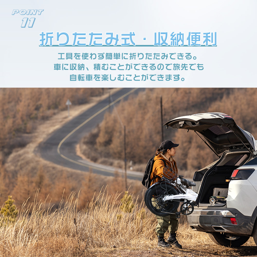 送料無料 公道走行可能】 E-bike 20in 電動自転車 アシスト自転車