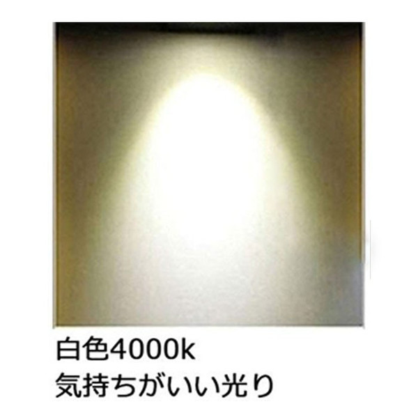 LEDシーリングライト 4.5~6畳 簡単取付型 10W リモコンなし 2000LM