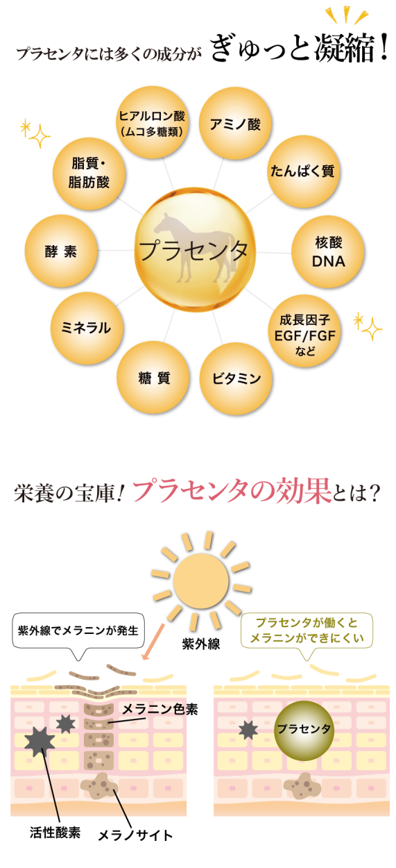 驚きの値段 プラセンタ サイタイ 原液 美容液 エポラ公式 エポホワイティア 30ml 4本セット 100 の保証 Spiritnmore Com