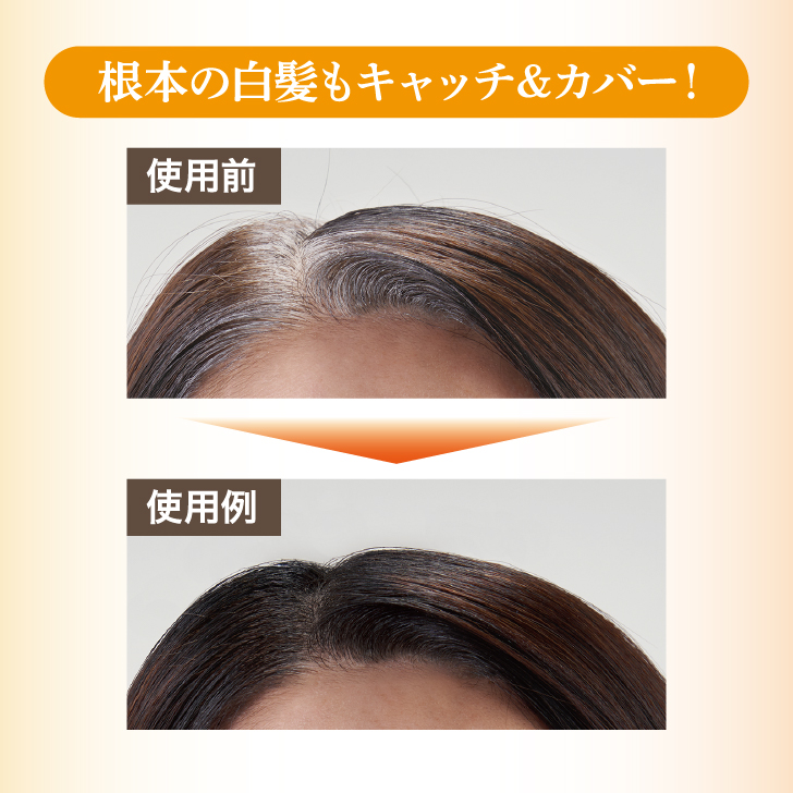 白髪隠し 白髪カバー 白髪かくし 生え際用 ポイント用 白髪染め 薄毛
