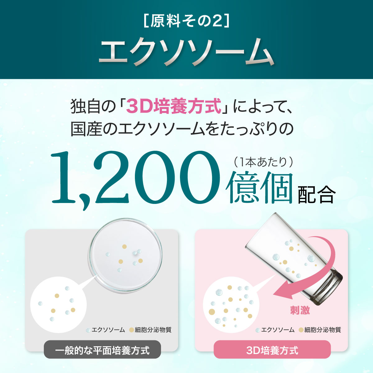 新品未使用 EVOLLAB エクソソーム コンプリート セラム ヒト幹細胞美容液 エクソソーム ヒト幹細胞 NMN 美容液 エイジングケア JOLT 30ml