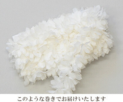 レース　白