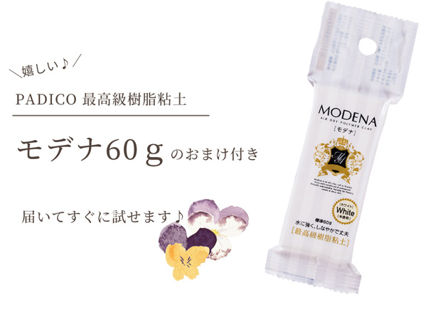 MY mama パジコ PADICO モデナ おまけ付き ケース付き スパチュラ 10本