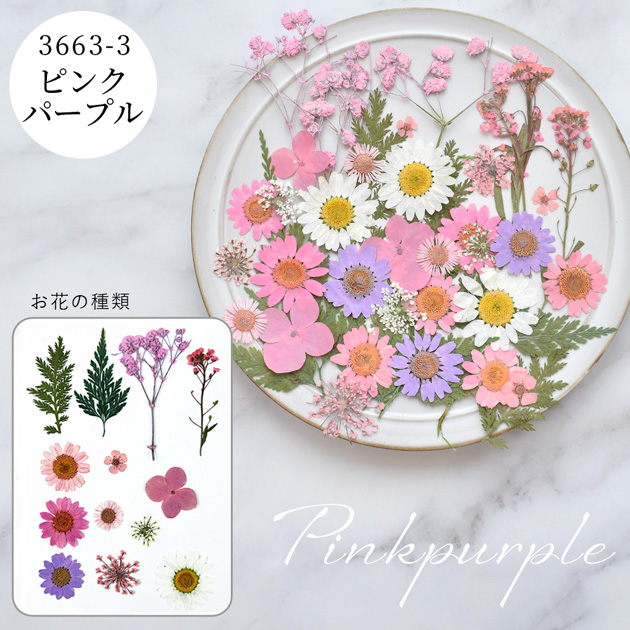 押し花 セット 40枚 全8種 □ ドライフラワー レジン レジン液 mymama