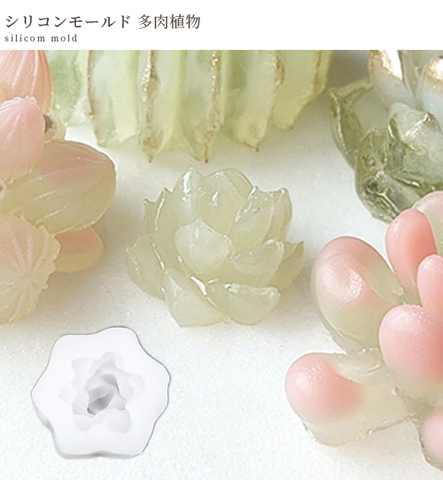 シリコンモールド モールド シリコン型 多肉 植物 中 □ レジン