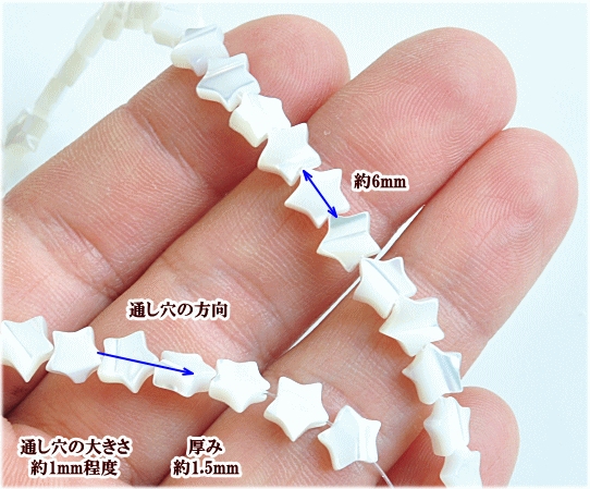 天然貝　ビーズ