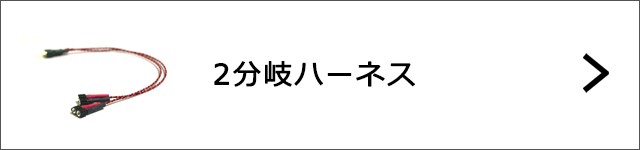 2分岐ハーネスへ