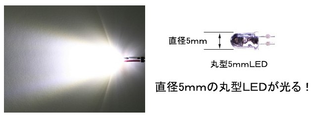 丸型5ｍｍＬＥＤランプ 白（広角/超高輝度） 【コネクタ付】 5本セット :5W0601-5PCS:マイクラフト - 通販 - Yahoo!ショッピング