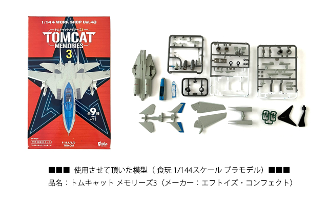 1/144 戦闘機プラモデル トムキャットF-14D 電飾工作例 - マイクラフト