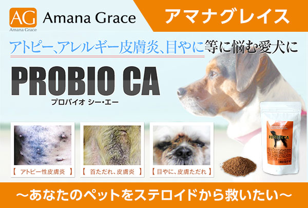 アマナグレイス プロバイオCA 30包入り サプリ サプリメント ドッグフード 犬用 皮膚炎    おすすめ