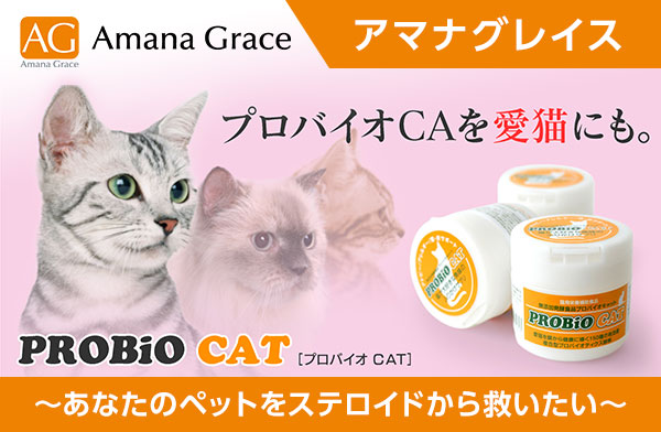 アマナグレイス プロバイオCAT 猫用 45g サプリ サプリメント キャットフード 皮膚炎   おすすめ