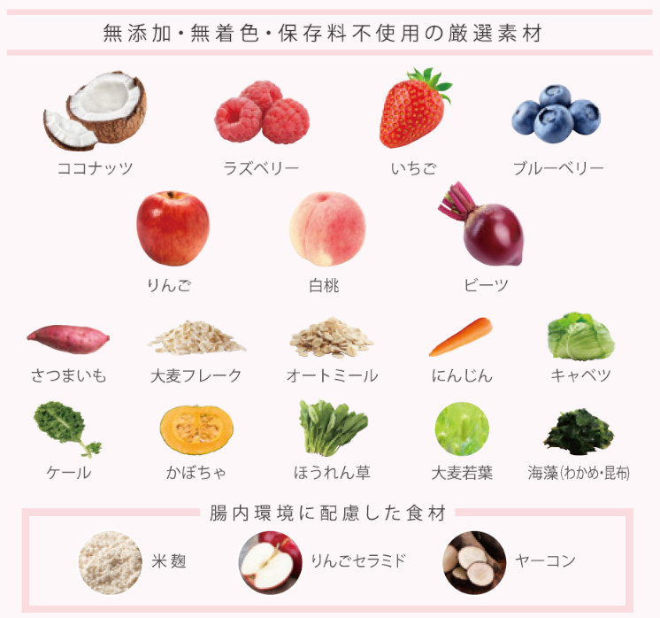ベースデリ フルーツフレーバー3つ BASE DELI ベースデリ フルーツ 500g : my DOG - 通販 - Yahoo