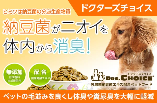 DRS.CHOICE（ドクターズチョイス） おいしい納豆菌 80g 2個セット
