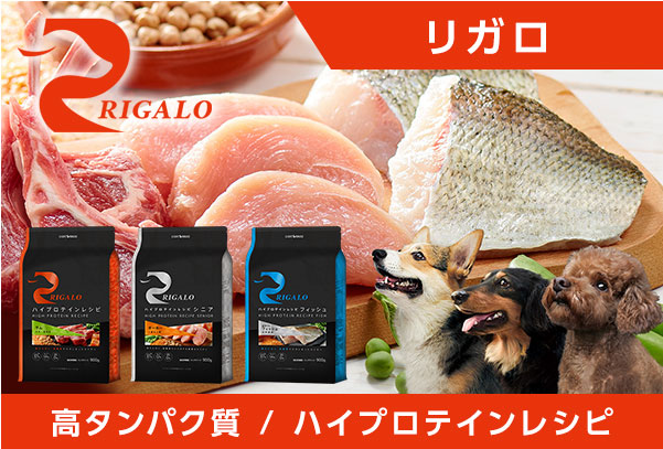 リガロ（RIGALO） ハイプロテインレシピ ラム 子犬・成犬用 900g : my