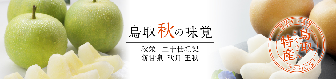 鳥取の特産品、梨