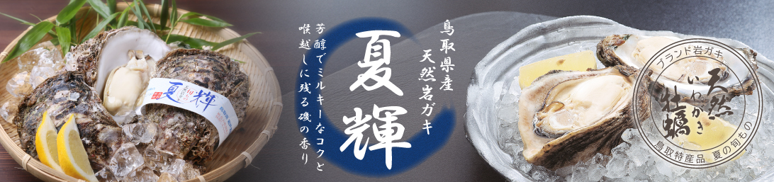 夏輝