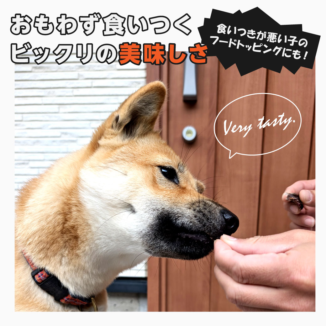 鹿肉 ジャーキー 犬用 大容量 徳用 500g ペットフード 犬 ドッグフード