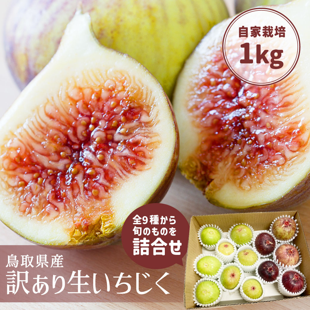 いちじくページ n-ichiziku-00.jpg