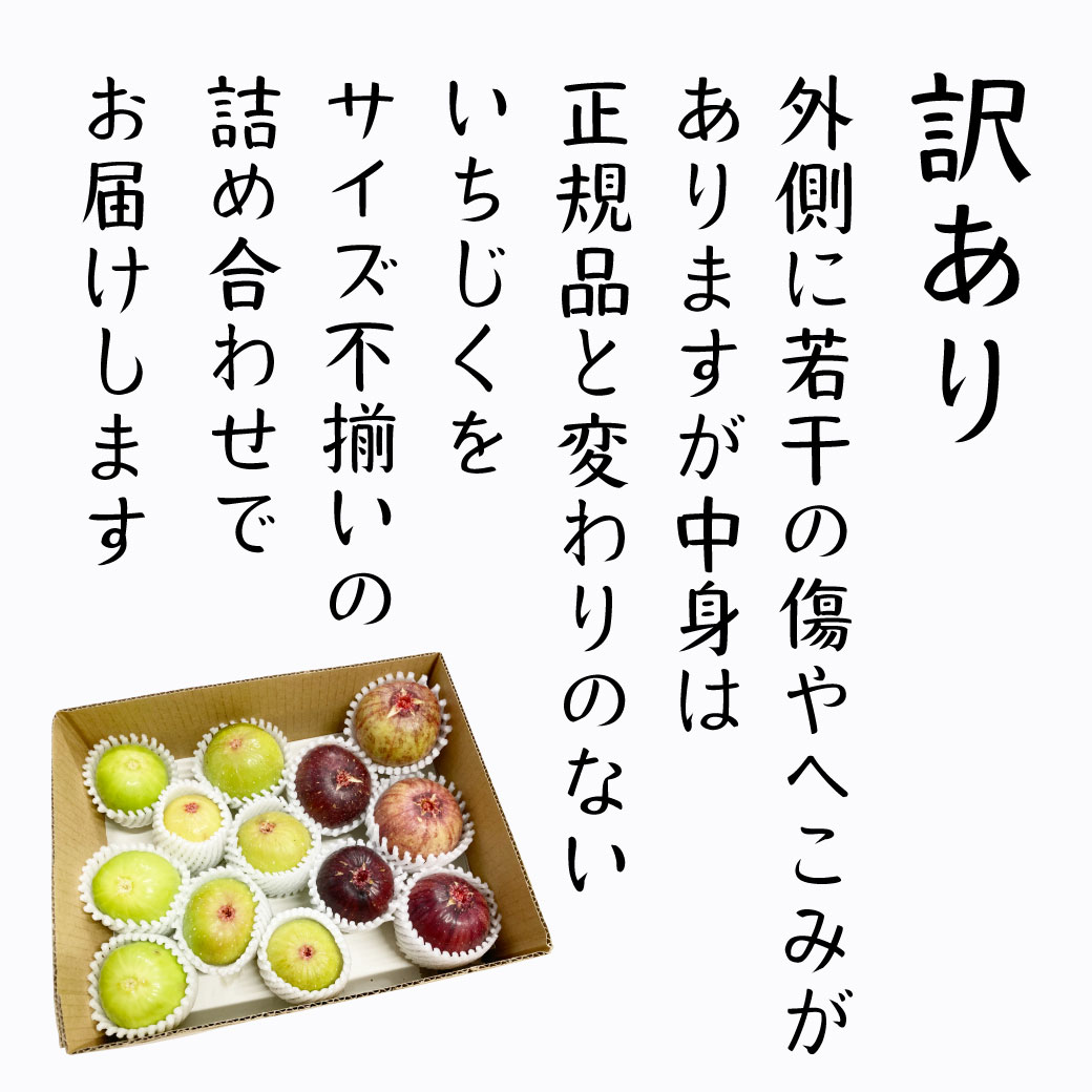 いちじく 詰合せ 訳あり 1kg 多品種栽培 旬 生 イチジク 国産 自家栽培