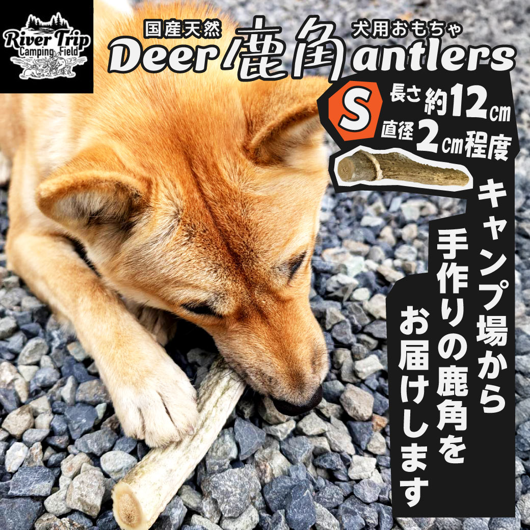 鹿の角 犬用 1本 Sサイズ 天然 無添加 鳥取県産 おやつ 自然 おもちゃ