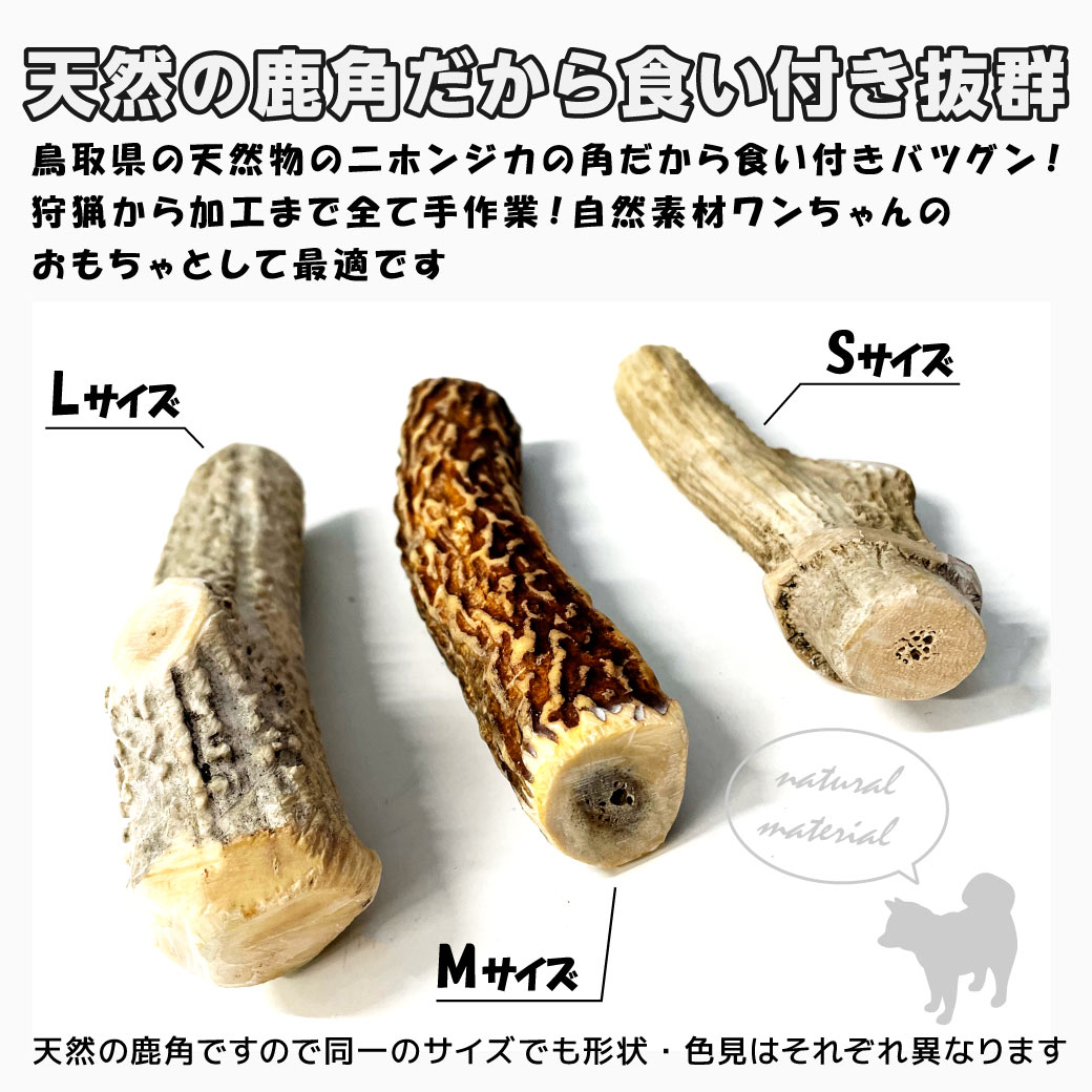 天然鹿の角　　3本 鹿の角 犬用 3本 Sサイズ 天然 無添加 鳥取県産 おやつ 自然