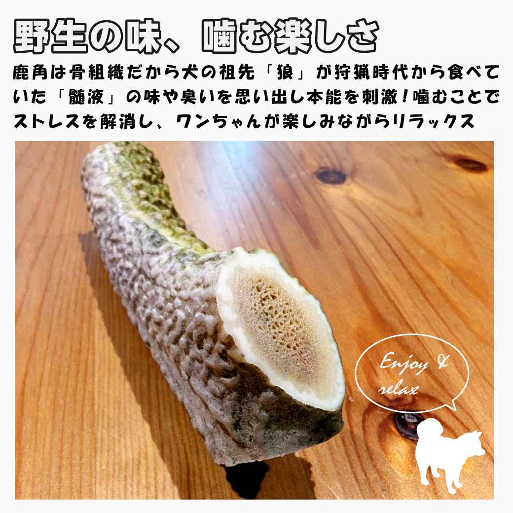 鹿の角 犬用 1本 Sサイズ 天然 無添加 鳥取県産 おやつ 自然 おもちゃ
