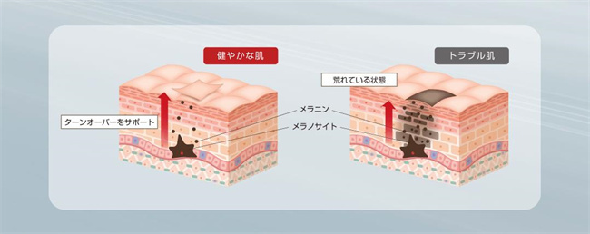 V3シャイニング ファンデーション スピケア 15ｇ