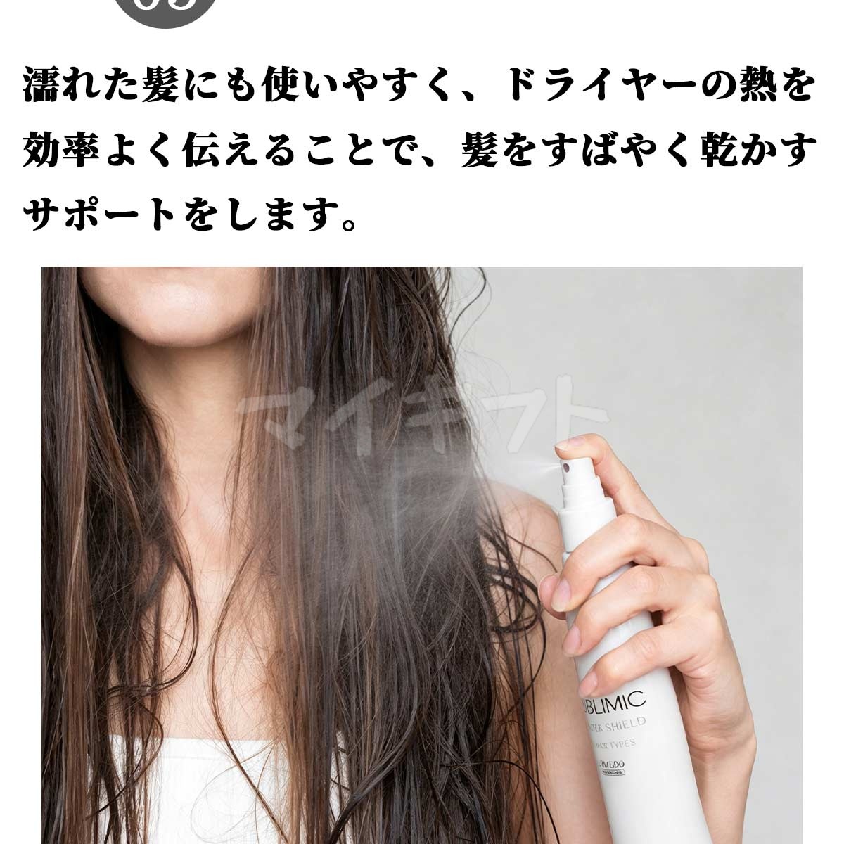 SHISEIDO PROFESSIONAL（資生堂プロフェッショナル） 資生堂