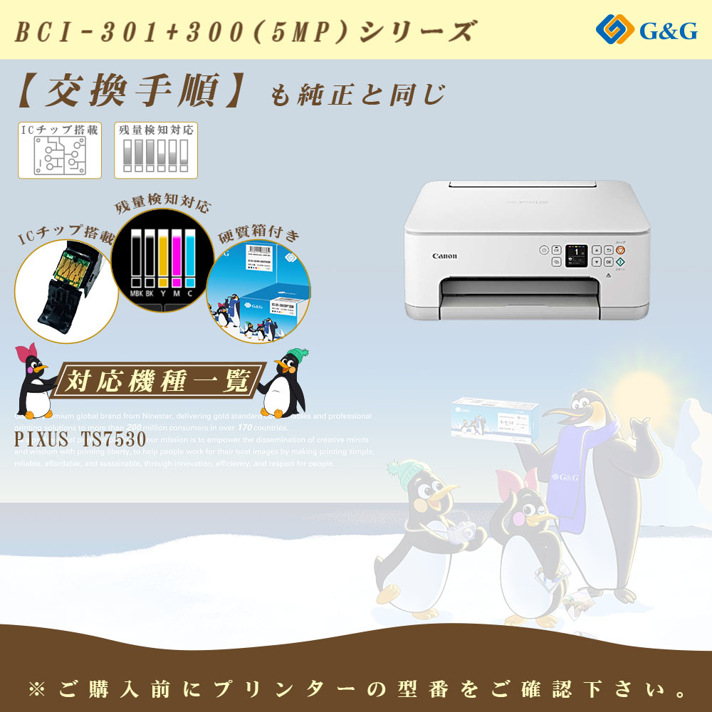 G&G BCI-301(BK/C/M/Y)+BCI-300(PGBK) 顔料 5色×3個 ブラック【残量