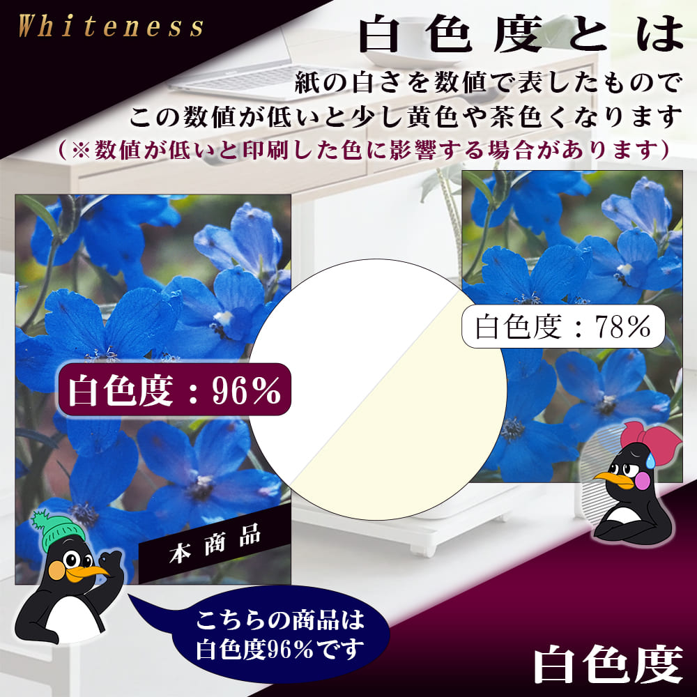 G&G 写真用紙 微光沢ラスター紙 PRO A4 20枚入 厚手 ハイグレード 顔料