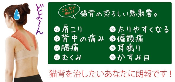 日本代購 Japanchill 日本代購轉運空運船運全球配送 座椅子勝野式美姿勢習慣リクライニング姿勢腰痛骨盤猫背矯正補整補正クッション椅子 肩こり対策解消