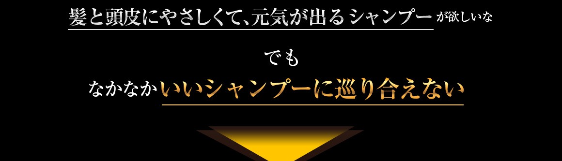 髪と頭皮にやさしくて、元気が出るシャンプーが欲しいな でも なかなかいいシャンプーに巡り合えない